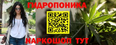 шишки Ковров