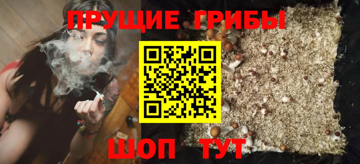 Галлюциногенные грибы GOLDEN TEACHER Гудермес