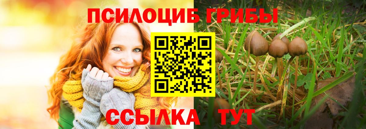цена   Псилоцибиновые грибы Psilocybine cubensis  Вход с VPN  Гудермес  Галлюциногенные грибы Cubensis 